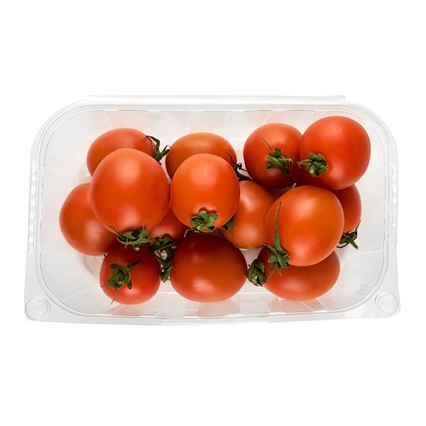 Rajčata červená keříková, vanička