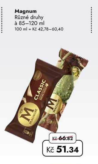 Magnum Různé druhy à 85-120 ml