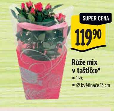   Růže mix v taštičce, pr.  květináče 13 cm 