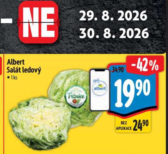  Albert Salát ledový  1ks 