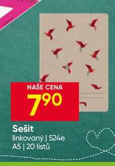 Sešit linkovaný 524e A5 20 listů 