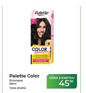 Palette Color Shampoo 50ml