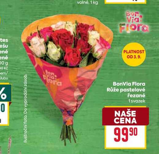 BonVia Flora Růže pastelové řezané 1svazek