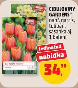 CIBULOVINY GARDENS např. narcis, tulipán, sasanka aj., 1 balení  