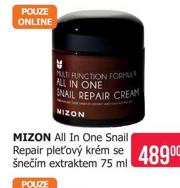 MIZON All In One Snail Repair pleťový krém se šnečím extraktem 75 ml