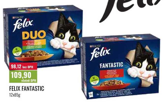 FELIX FANTASTIC 12x85g