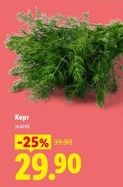 Kopr, svazek
