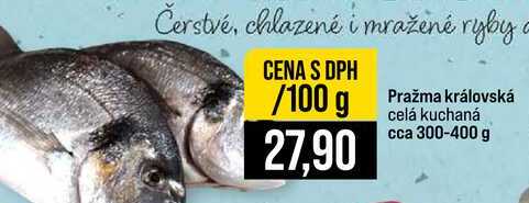 Pražma královská celá kuchaná cca 300-400 g 100g