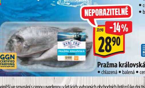   Pražma královská 100 g