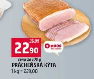 MÚÚÚ PRÁCHEŇSKÁ KYTA 100g