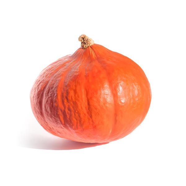 Dýně Hokkaido