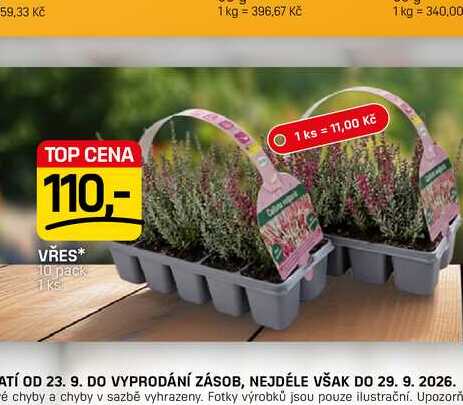 VŘES* 10 pack 1 ks