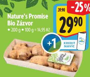 Nature's Promise Bio Zázvor, 200 g  