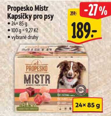 Propesko Mistr Kapsičky pro psy, 24x 85 g