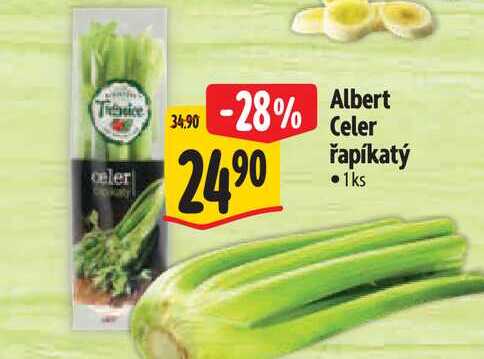 Albert celer řapíkatý 1ks