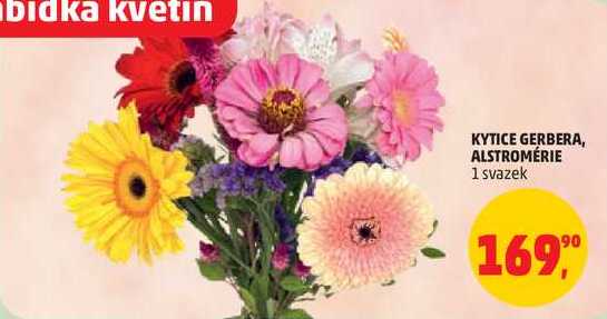 KYTICE GERBERA, ALSTROMÉRIE, 1 svazek