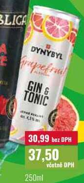 DYNYBYL GIN& TONIC 250ml