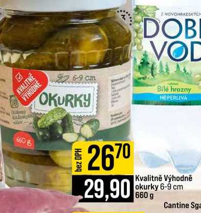 Kvalitně Výhodně okurky 6-9 cm 660 g