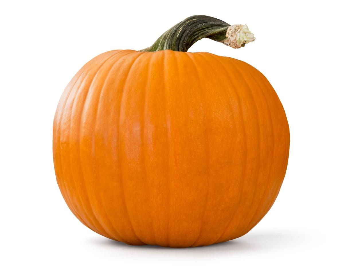 Tykev Halloween , 1 kg