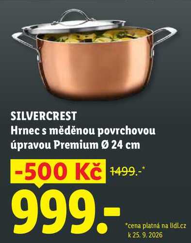 SILVERCREST Hrnec s měděnou povrchovou úpravou Premium Ø 24 cm