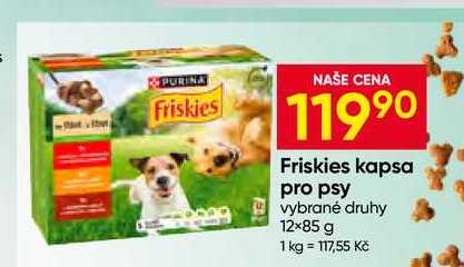 Friskies kapsa pro psy vybrané druhy 12×85 g