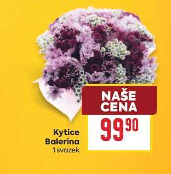 Kytice Balerina 1 svazek
