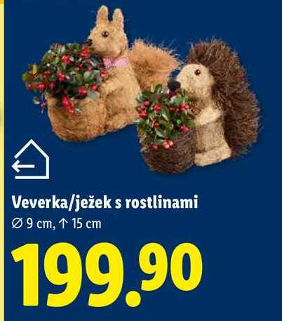 Veverka/ježek s rostlinami