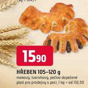 HŘEBEN 105-120 g 