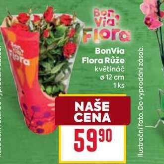 BonVia Flora Růže květináč 12 cm 1 ks