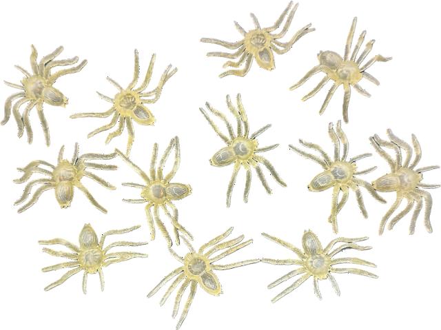 Sada 12 pavouků svítící ve tmě 5,5 cm