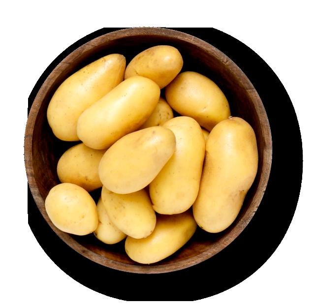 Brambory volné konzumní pozdní varný typ: B