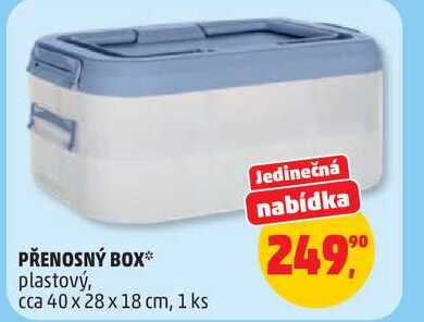 PŘENOSNÝ BOX plastový, cca 40 x 28 x 18 cm, 1 ks  