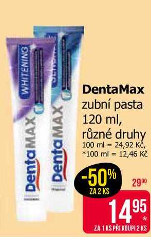 DentaMax zubní pasta 120 ml, různé druhy