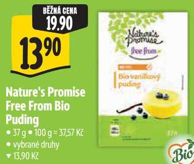 Nature's Promise Free From Bio Puding, 37 g
