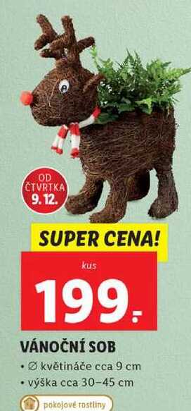 VÁNOČNÍ SOB