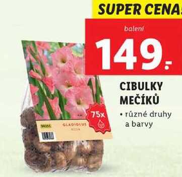 CIBULKY MEČÍKŮ různé druhy a barvy