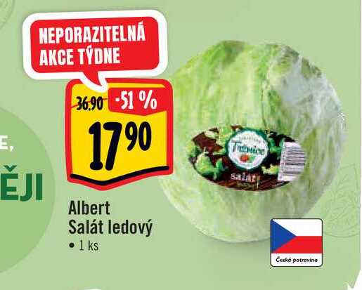 Albert Salát ledový 1 ks