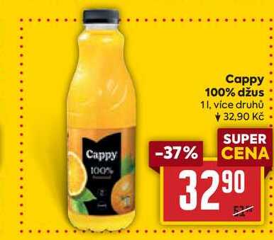 Cappy 100% džus 1l