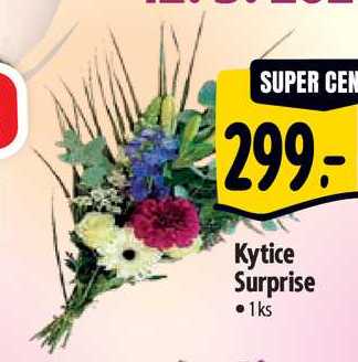 Kytice Surprise