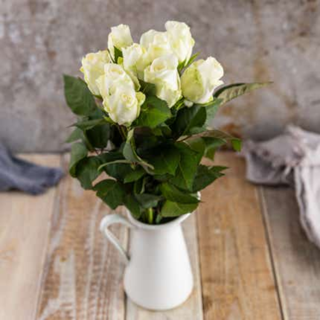 Růže bílé 40 cm, 9 ks