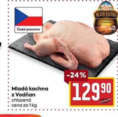 Mladá kachna z Vodňan chlazená cena za 1 kg  