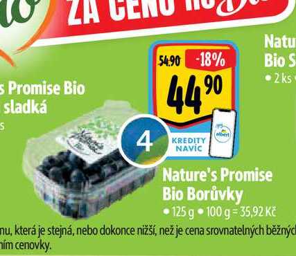   Nature's Promise Bio Borůvky 125 g  