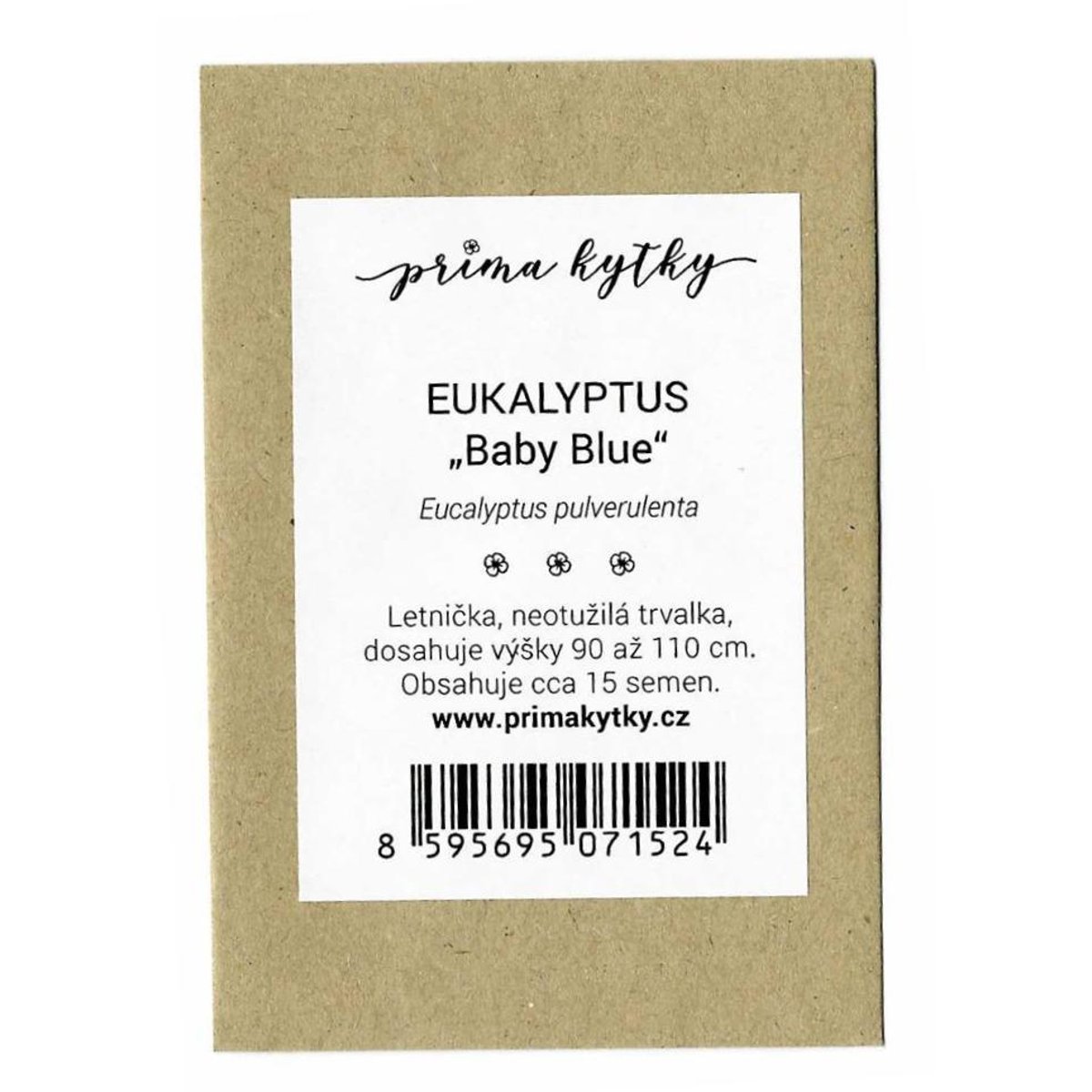 Prima kytky Eukalyptus "Baby Blue"