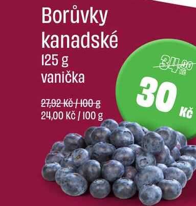 Borůvky kanadské 125 g vanička 