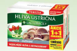 TEREZIA Hlíva ústřičná + lactobacily 60+60 kapslí