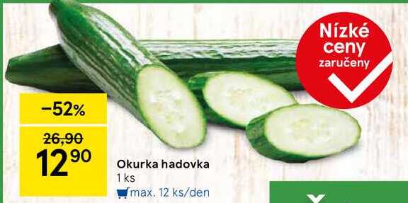 Okurka hadovka, 1 ks