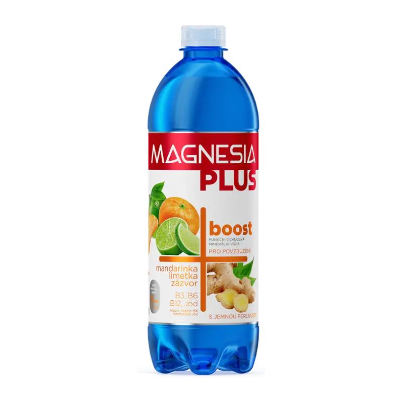 Magnesia Ochucená sycená minerální voda s příchutí mandarinky, limetky a zázvoru, 700 ml