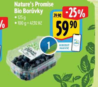 Nature's Promise Bio Borůvky • 125g 