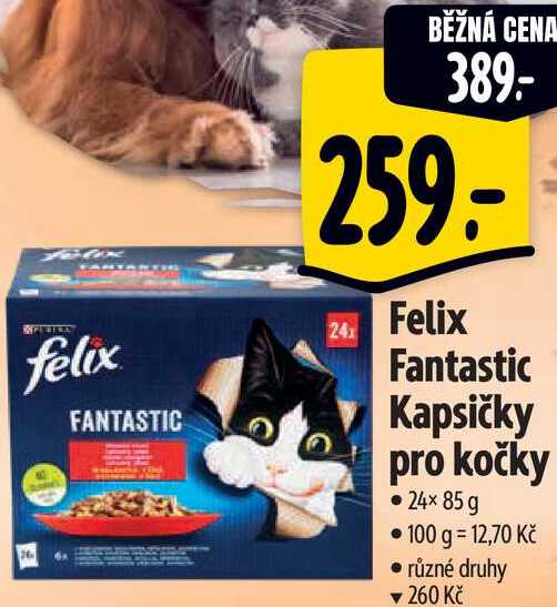 Felix Fantastic Kapsičky pro kočky, 24x 85 g 