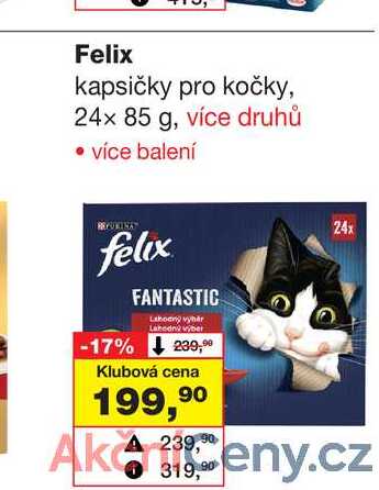 Felix kapsičky pro kočky, 24x 85 g